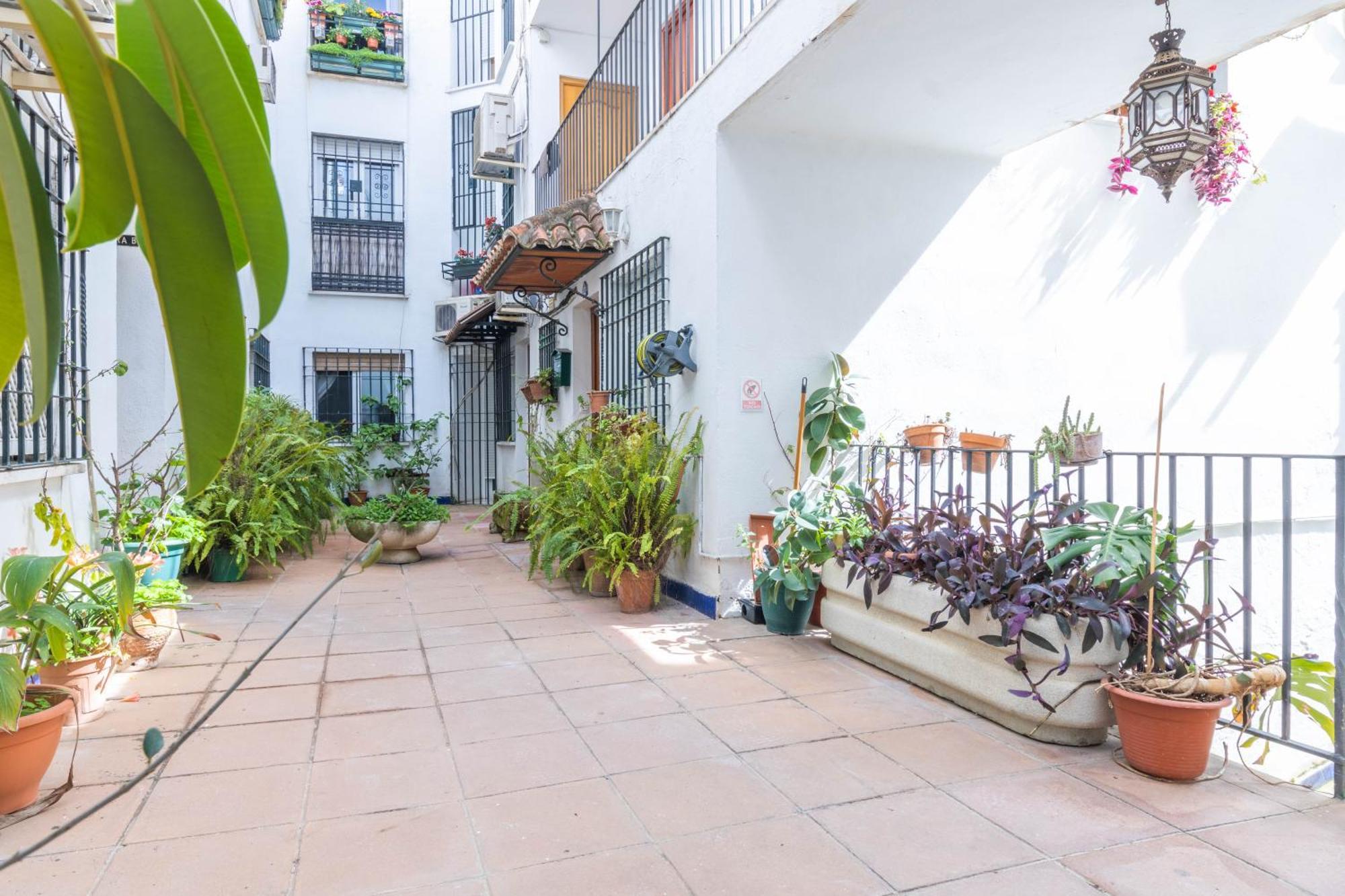 Apartamento Estrella Del Sur 코르도바 외부 사진